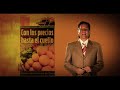 daco opening capsulas consumo inteligente