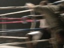 1st round knockout STITH vs SLAUGHTER 1st round knockout STITH vs SLAUGHTER