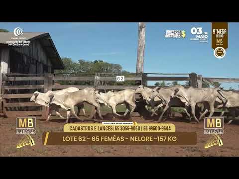 9� MEGA LEIL�O DA MB LEIL�ES