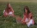 i don't speak norwegian, but look for morten harket. this norwegian family movie was made in 1989. morten was also in the first kamilla og tyven film (1988). the response was so good from the first film, that morten was given a larger acting role in this second kamilla movie.