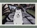 Okami - Enemy (Amaterasu) || Fozzy
