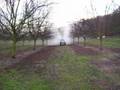 Opryskiwacz sadowniczy Tifone do bardzo wysokich drzew