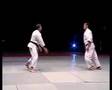 Shodokan Aïkido Satoru TSUCHIYA Sensei 2007