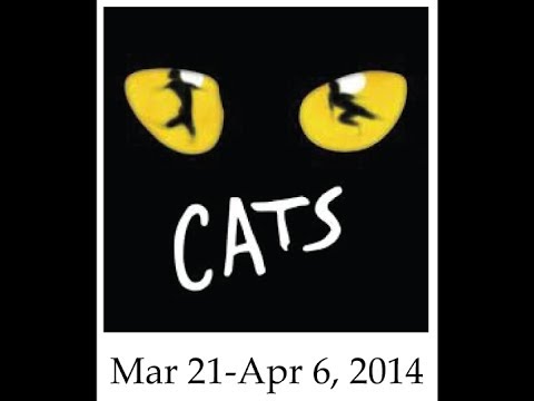 CATS - Broadway San Diego