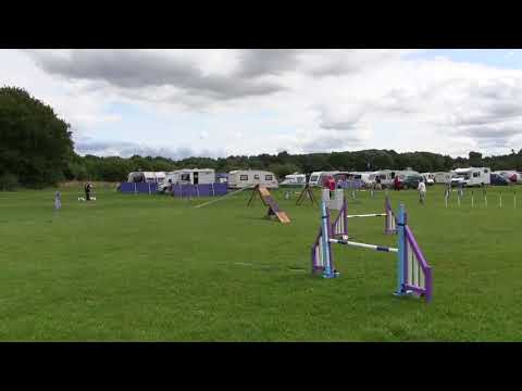 20th August 2017 G1-G7 Agility