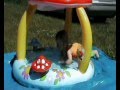 Paulchen geht baden