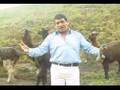 pepe minaya - anda vete chola