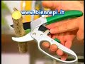 Forbici da Giardinaggio ma Anche per Uso Alimentare