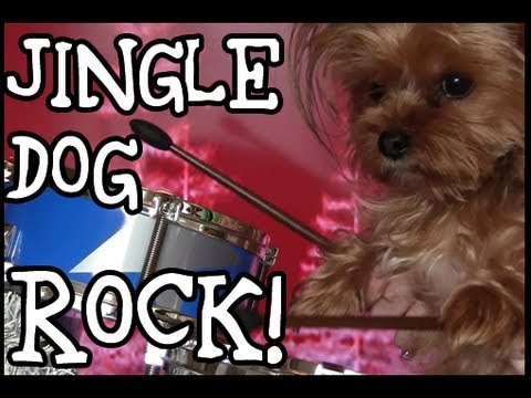Watch 'Jingle Dog Rock'
