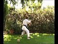 TOTAL FIGHT KARATE TSUKI training 120 punches in 28 seconds