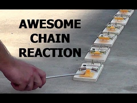 chain reaction chain reaction