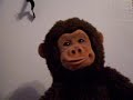 aerosmith monkey aerosmith monkey