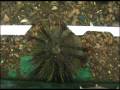 University Of Guelph: AquaLab