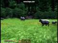 Chorrol Hinterlands