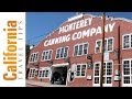 Monterey - YouTube