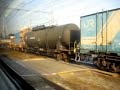 Japanese Freight train from Ltd.Exp Tokai