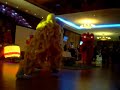 nyulddt lion dance performance at a wedding banquet part 1 nyulddt lion dance performance at a wedding banquet part 1