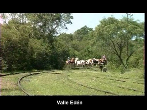 See video