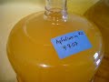 Fermenting Apfelwein