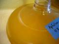 Fermenting Apfelwein