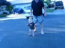 Baby Jeff and Daddy trekking