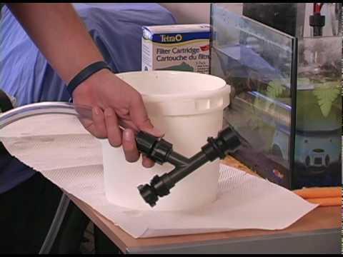 how to properly clean a fish tank