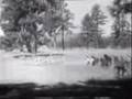 videos de Into Fury 1958
