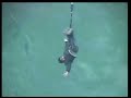 AJ Hackett Kawarau Bridge Bungy Jump AJ Hackett Kawarau Bridge Bungy Jump