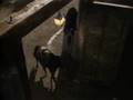 Disney's Zorro - 1x18 - Zorro Fights His Father (3)