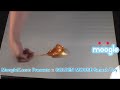Golden Mouse Smash Splatter Loku Loku Toy for all ages