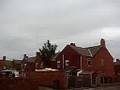 Geese Flying Over Our House