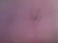 Search Video