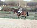 orfee au boulot orfee au boulot