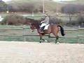 orfee au boulot