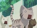 Very short azumanga daioh AMV