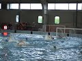 Pallanuoto - Plebiscito Padova vs. Tuscolano Roma(18-5-2008)