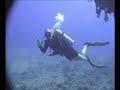 Ni'ihau Part 1