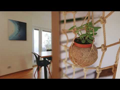 Video Prodej jedinečného bytu 3+1