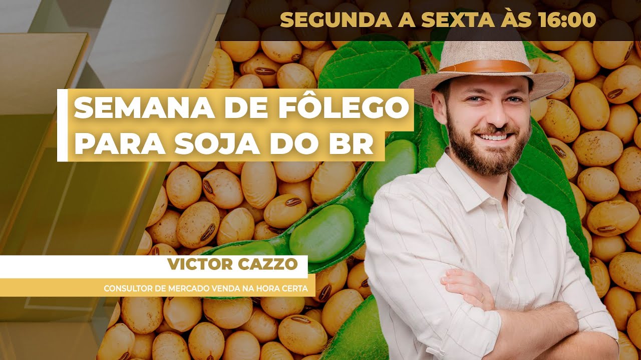 Preços da soja têm semana de fôlego no Brasil com Chicago acima dos US$ 11, mas prêmios limitam...