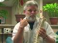 chiropractor directory