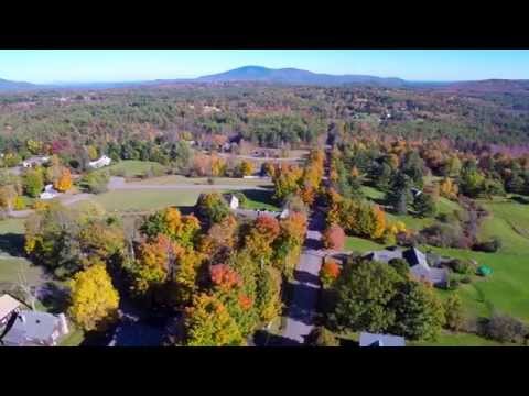 how to grow blueberries in nh