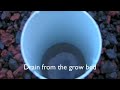 Aquaponic Build