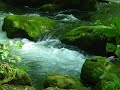 ??????Oirase Gorge ??????Oirase Gorge
