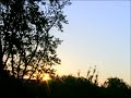 Sunrise Sunrise