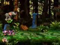 Donkey Kong Country 3 - Stampede Sprint