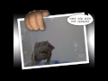 boglin