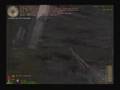 videos de moha1