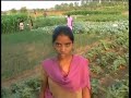 Agriculture in India Agriculture in India