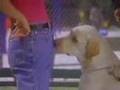 Stephanie Miller TV show ad (30 second promo, 1995)
