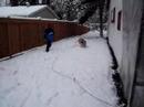 Fila   Brasileiro  in the snow